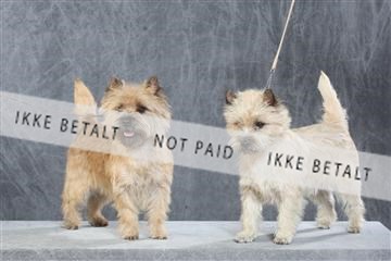 130054_le_ 03_0062.JPG