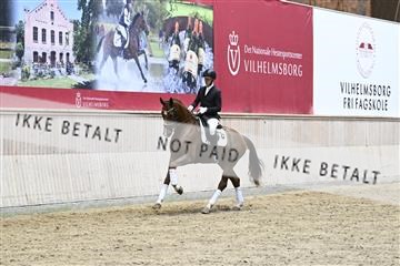 182241_kbb_01_Z093484.JPG