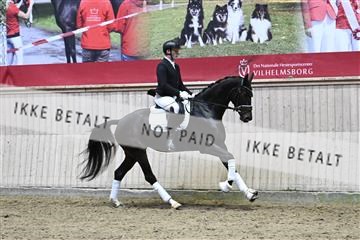 182241_kbb_01_Z093641.JPG