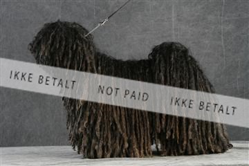 5493_sme _02__MG_9661.JPG