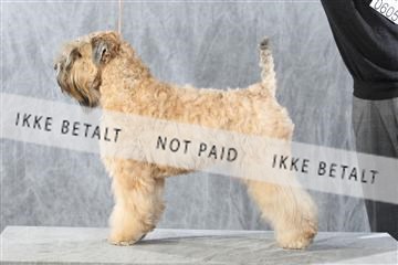 128239_le_kort_ 01_0338.JPG