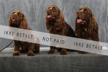 129608_le_ 01_0753.JPG