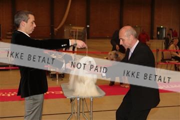 124188 _tl_02_IMG_9725.JPG