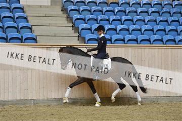 139327_abo_01__AB10568.JPG