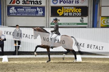 140040_abo_02__AB19409.JPG