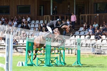 181805_mlm_02_R62_6807.JPG