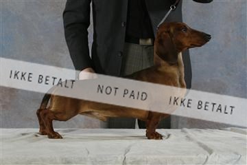 5493_sme _03__MG_9754.JPG