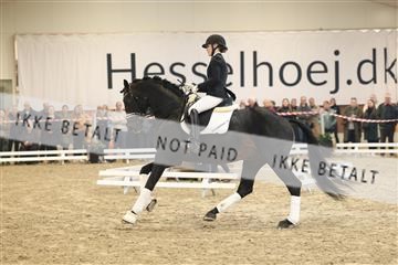 174363_kbb_01_R6II8202.JPG