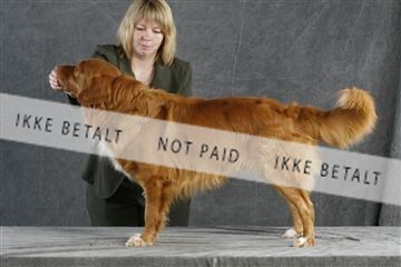 5493_sme _02__MG_9724.JPG