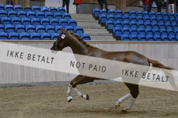 139327_abo_01__AB10177.JPG