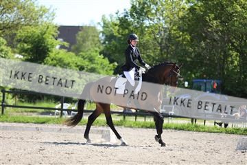 168732_mtp_01_3M5A7960.JPG