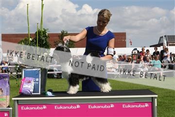 130370_se_03_IMG_7609.JPG
