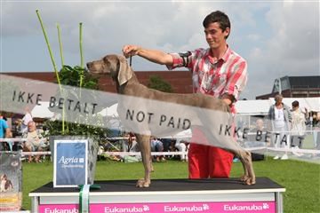 130370_le_02_IMG_8628.JPG