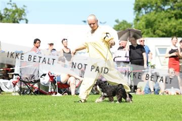 181564_rin_02_R62_3138.JPG