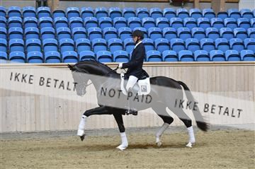 139327_abo_01__AB10391.JPG