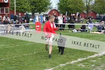 134871_ms_04_IMG_0352.JPG
