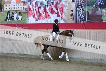 181887_mtp_02_R62_7319.JPG