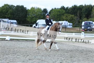 181894_mtp_05_R62_5143.JPG