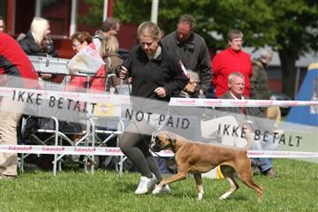 134871_ms_04_IMG_0509.JPG