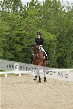 139835_sg_01_IMG_8274.JPG