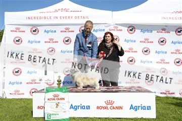 181564_kar_01__62_8113.JPG