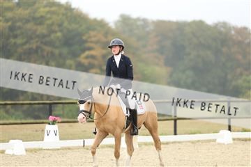 181894_mtp_04_R62_3573.JPG
