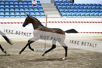181754_kbb_01_Z093876.JPG