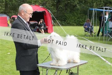 130370_tl_02_IMG_7713.JPG