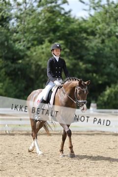 156196_nn_01_IMG_6518.JPG