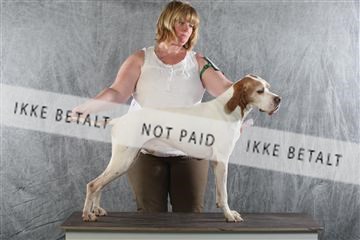 129608_le_ 02_0341.JPG