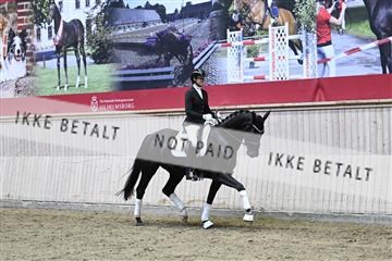 182241_kbb_01_Z094339.JPG
