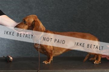 132082_le_ 01_IMG_0299.JPG