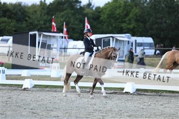 181894_mtp_05_R62_5137.JPG