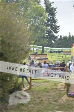 144462_bc_22__BC16207.JPG