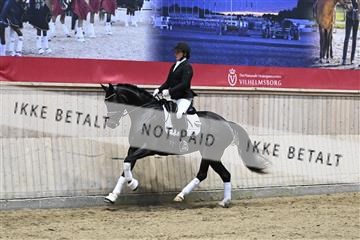 182241_kbb_01_Z093158.JPG