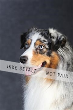 132082_le_ 01_IMG_0156.JPG