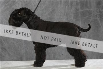 130054_le_ 03_0257.JPG