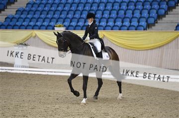 139403_ms_01__MS18264.JPG