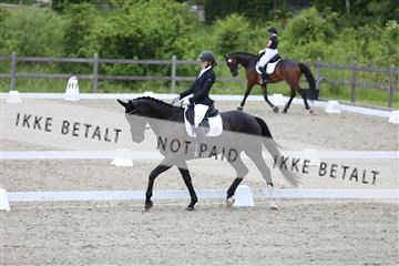 172030_mtp_01_3M5A1810.JPG