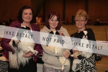 124188 _tl_02_IMG_9189.JPG