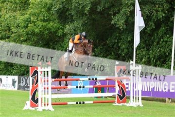 181805_mlm_01_R62_5668.JPG