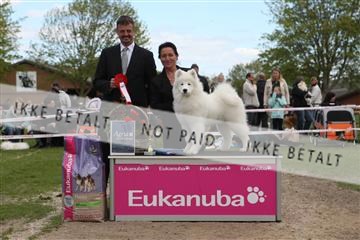 134871_ms_04_IMG_0427.JPG
