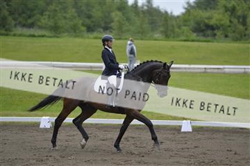 140040_abo_01__AB17602.JPG