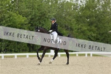 139835_sg_01_IMG_8092.JPG