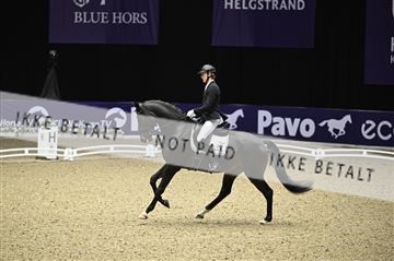 182194_kbb_01_Z095481.JPG