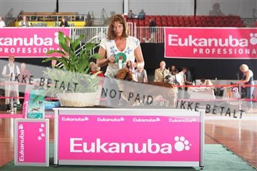 6068_ma_05_IMG_5957.JPG