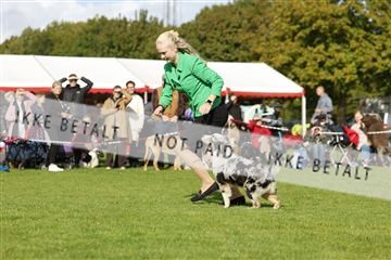 182009_rin_01__62_6773.JPG