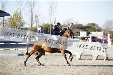 181332_kbb_01_6II3077.JPG