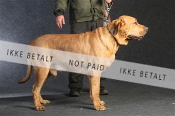 132082_le_ 01_IMG_0139.JPG