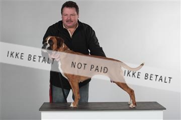 126827_le_03_img_1208.JPG